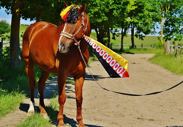 中國足球超 中國足球超