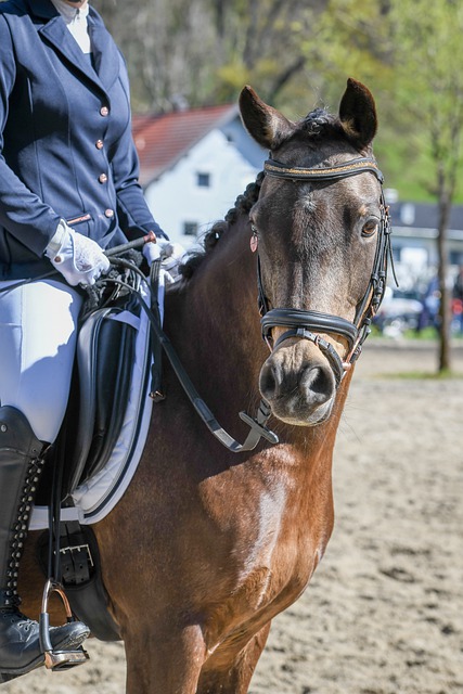 优化比赛策 优化比赛策