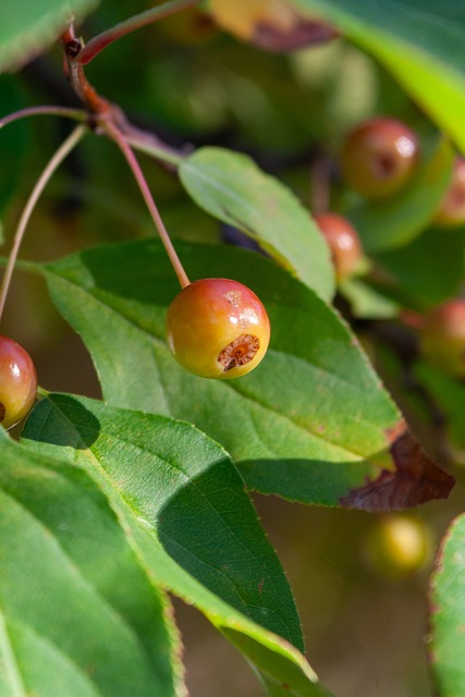 造就业机会 造就业机会
