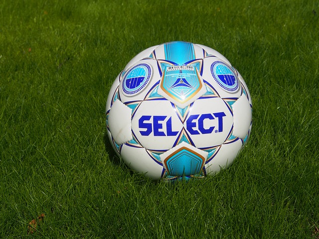 们在下届世 们在下届世