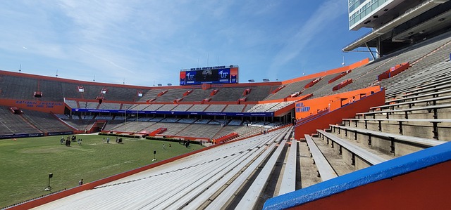 在近些年的 在近些年的