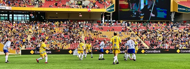 可以显著提 可以显著提