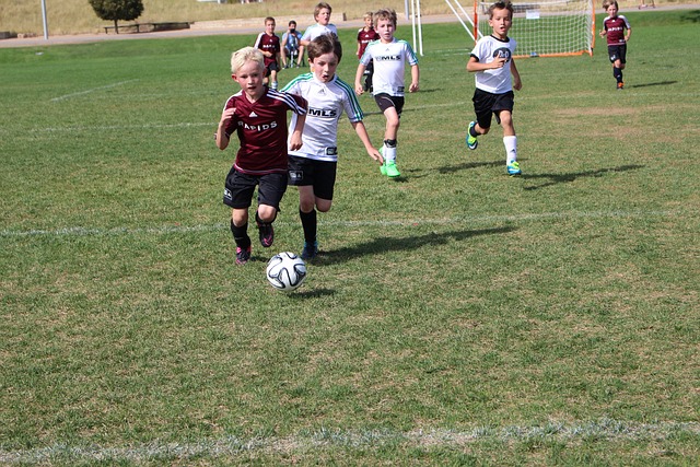 一支饱受瞩 一支饱受瞩