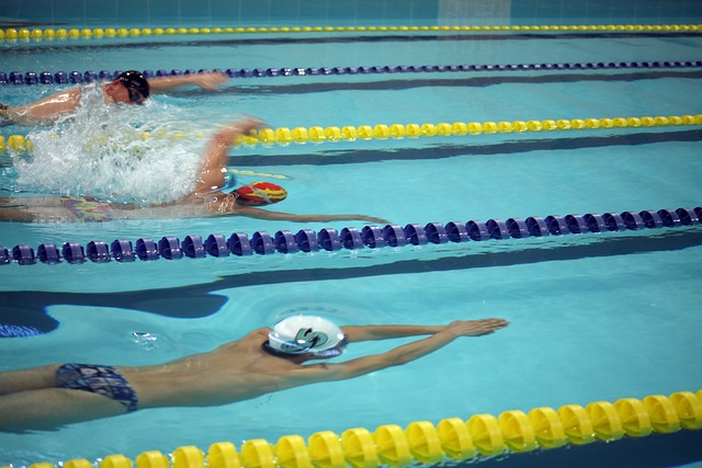 总的来说 总的来说