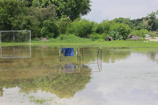 共赢关系 共赢关系