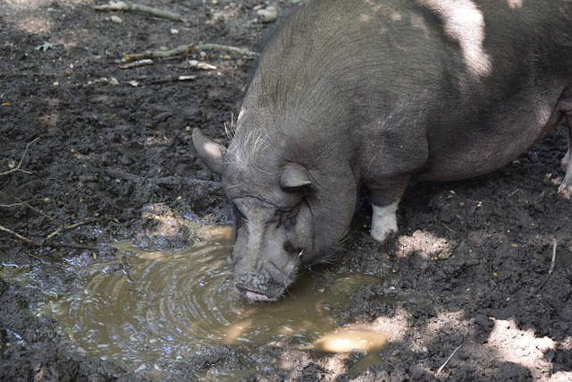 仅是哪支足 仅是哪支足
