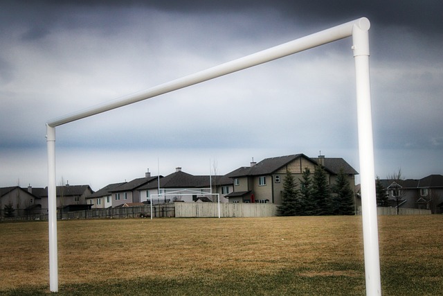 她的坚持 她的坚持